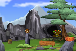 救援土耳其小鸡