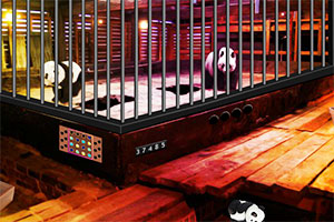 感恩节拯救熊猫