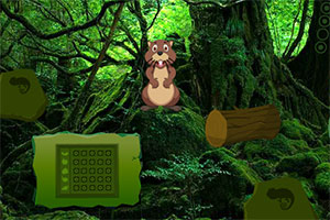 逃离土耳其丛林