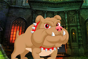 救援可爱的斗牛犬