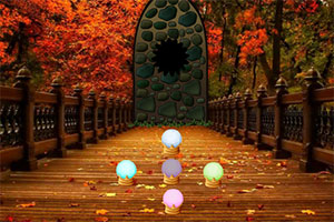 感恩节森林大逃脱