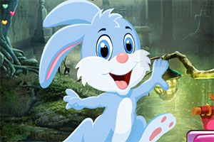 救援可爱的兔子