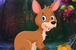 救援可爱的小袋鼠