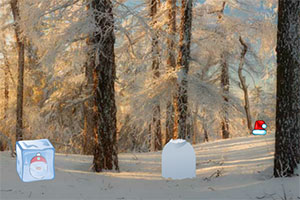 圣诞日逃出森林