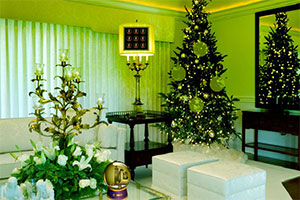 寻找圣诞惊喜礼物