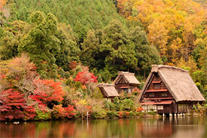 逃出日本山水园3