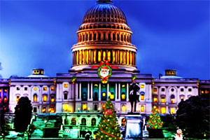 寻找圣诞泰迪熊