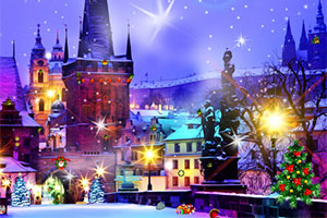 寻找圣诞槲寄生