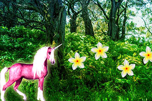 寻找森林中的麒麟