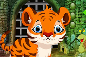 救援可爱的老虎幼崽