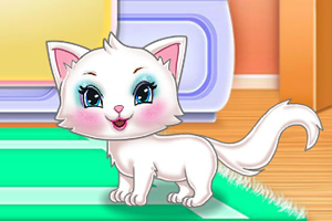 凯蒂猫打扫树屋