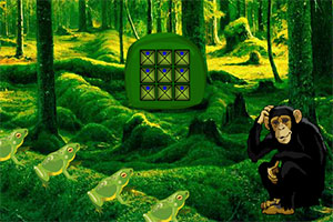 逃离黑猩猩的地盘