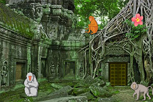 逃离废弃的神猴庙