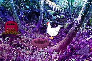 农场中的兔子救援