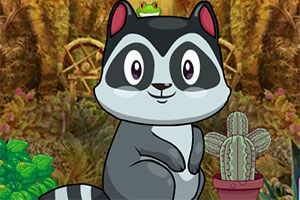 救援可爱的浣熊