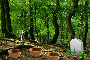 逃离翠绿色森林