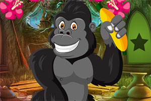 救援健壮黑猩猩