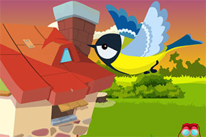 救援可爱小鸟儿