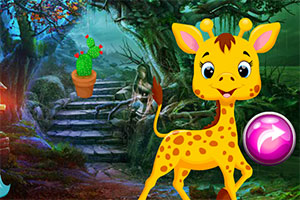 救援可爱长颈鹿