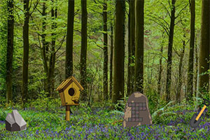 逍遥湖森林逃离