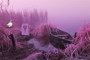 拯救粉红火烈鸟