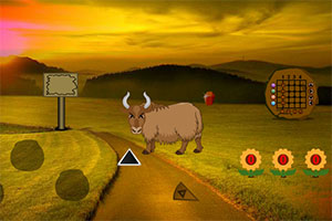 逃离大型养牛场