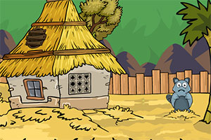 寻找松鼠的食物