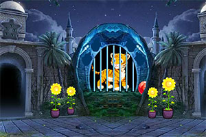 可爱的老虎救援