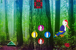 逃离啄木鸟森林