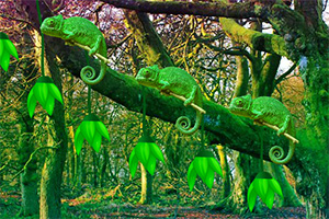 救援森林变色龙