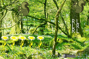 绿松鼠森林逃脱