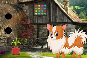 救援可爱的小犬