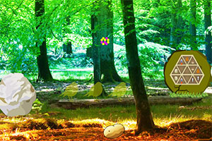 迷雾森林大逃脱