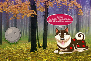 救援受伤的小狗崽