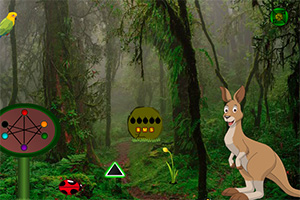 逃离袋鼠居住地