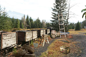 逃离废弃自然公园