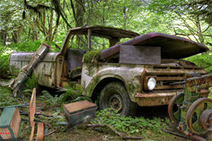 逃离废弃的卡车场