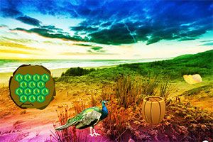 可爱的小孔雀救援