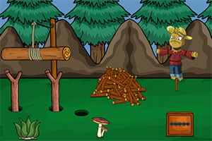 救援受困的火鸡