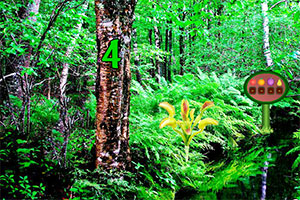 食肉植物森林逃生