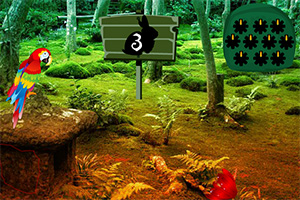 逃离金刚鹦鹉森林