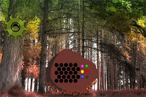 救援受困的鬃狼