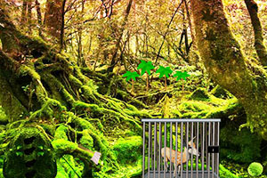 铁笼中的小鹿逃脱