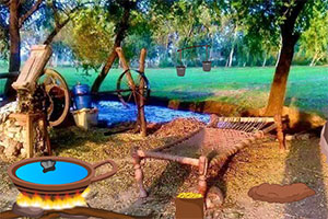 逃出安逸小乡村