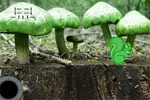 逃出神奇蘑菇林