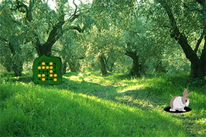 橄榄树森林逃生