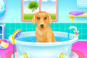 可爱女生照顾拉布拉多