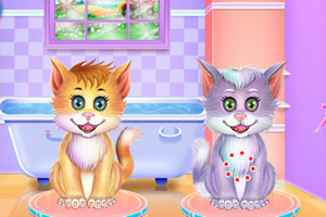 照顾双胞胎小猫