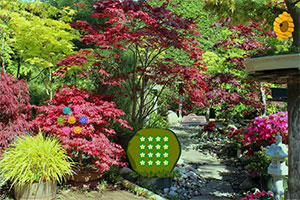 植物园天鹅逃生