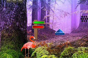 逃离火烈鸟森林